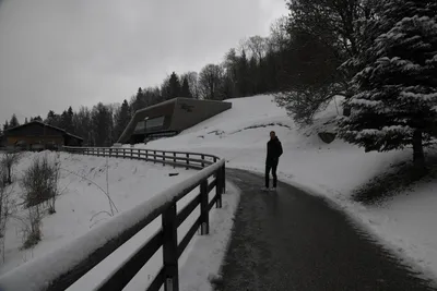 DSC_7070 (Large).JPG